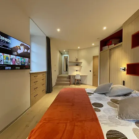 Tour Medievale Renovee Au Coeur Du Pays Du Mont-blanc Apartment *