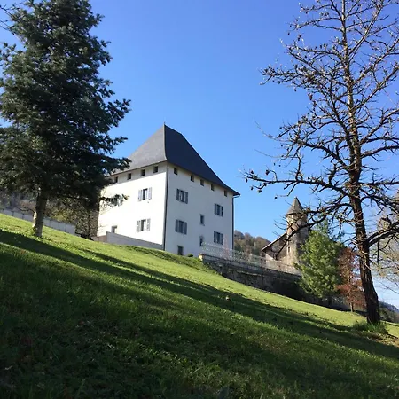 Un Chateau Face Au Mont-blanc