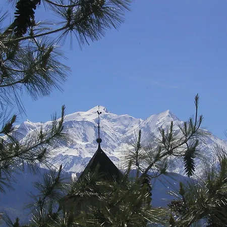 公寓 Un Chateau Face Au Mont-blanc *