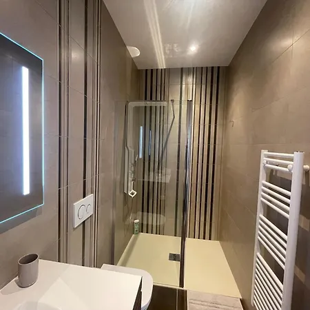 Un Chateau Face Au Mont-blanc 살랑쉬